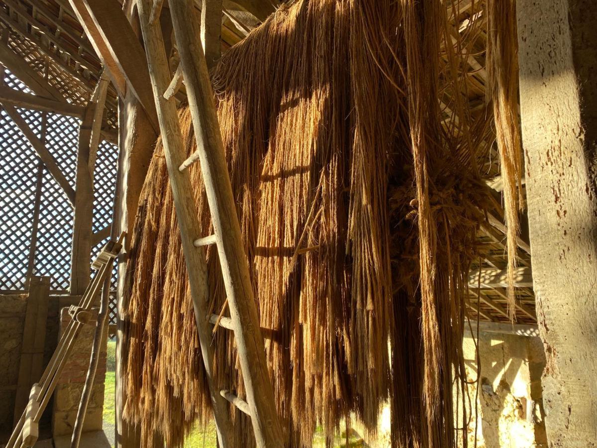 La Maison De Manon Mirande  Extérieur photo